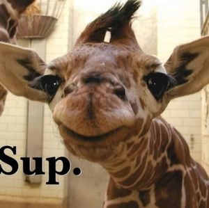 For Michiko. Irregular Choice Xmas Surpirse